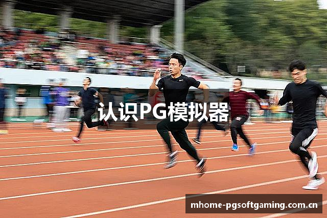 认识PG模拟器